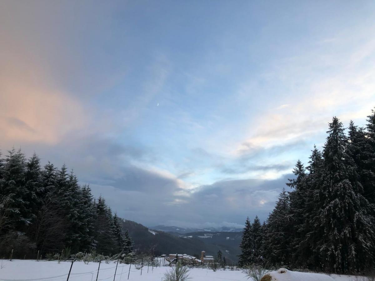 Le De La Goutte Lodge Saint-Appolinaire (Rhone)